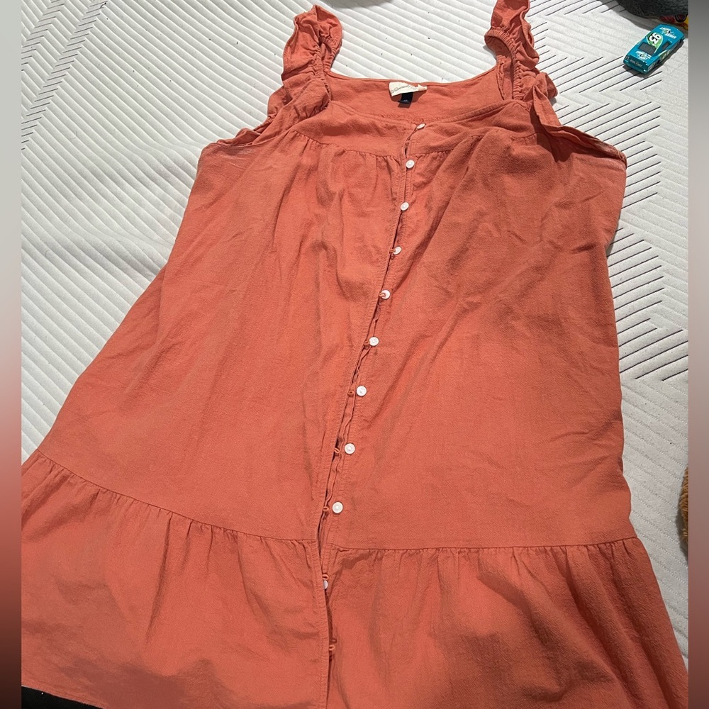 Universal Thread Terracotta Dress